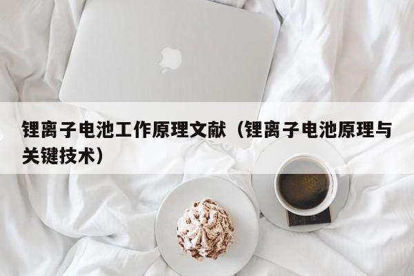 鋰離子電池工作原理文獻(xiàn)（鋰離子電池原理與關(guān)鍵技術(shù)）  第1張