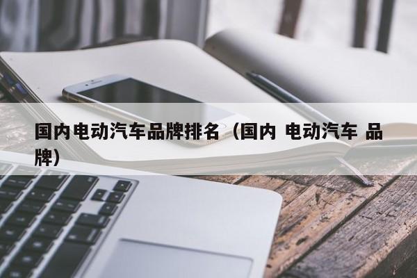 國內電動汽車品牌排名（國內 電動汽車 品牌）  第1張