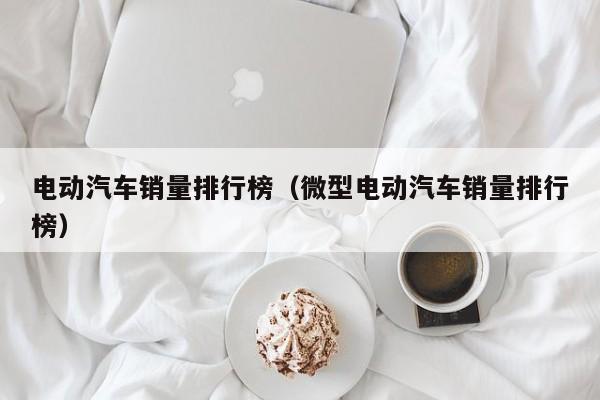 電動汽車銷量排行榜（微型電動汽車銷量排行榜）  第1張