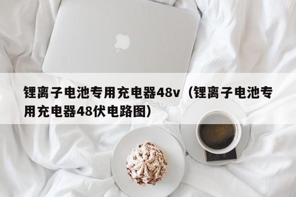 鋰離子電池專用充電器48v（鋰離子電池專用充電器48伏電路圖）  第1張