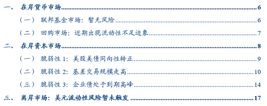張瑜：暗流涌動——美國金融市場風(fēng)險(xiǎn)全景掃描  第1張