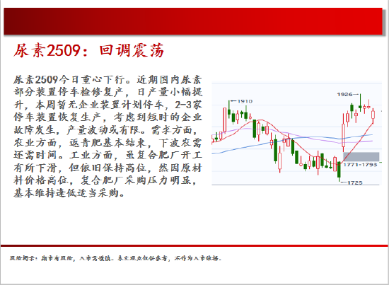 中天期貨:白銀繼續(xù)震蕩 棕櫚大幅反彈  第15張