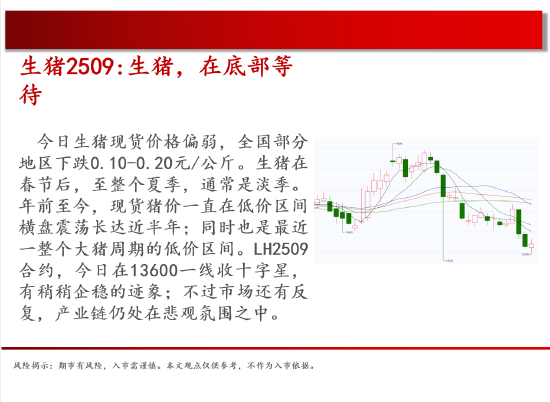 中天期貨:商品指數(shù)停頓震蕩 棕櫚震蕩  第4張