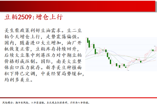 中天期貨:棕櫚大漲的高位調(diào)整 尿素繼續(xù)大漲  第9張