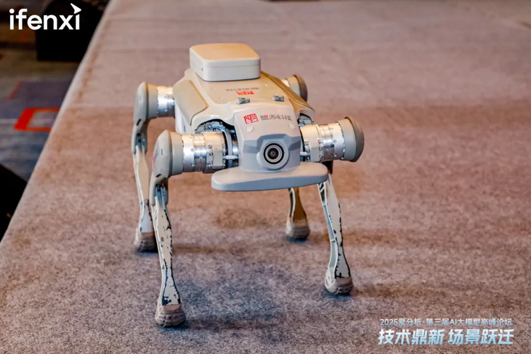 愛分析AI大模型高峰論壇成功舉辦，探討大模型應用新場景與商業(yè)價值  第17張