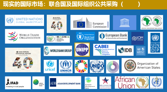 中國聯(lián)合國采購促進(jìn)會宋嘉：企業(yè)出海是一種戰(zhàn)略選擇  第4張